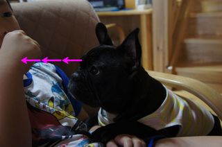 DSC02511-1.jpg