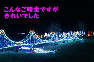 DSC02684-1.jpg