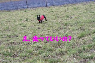 DSC03423-1.jpg