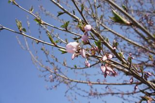 DSC03440-1.jpg