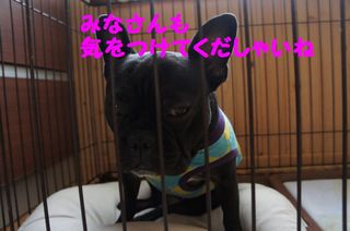 DSC03470-1.jpg
