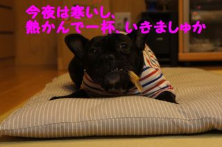 DSC03542-1.jpg