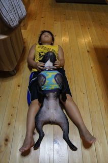 DSC03644-1.jpg