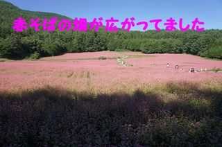 DSC03738-1.jpg