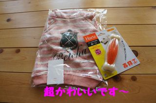 DSC03944-1.jpg