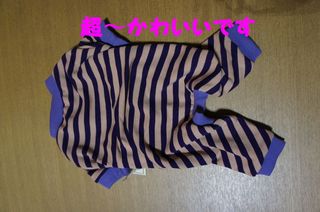 DSC03980-1.jpg
