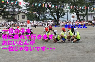 DSC02516-1.jpg