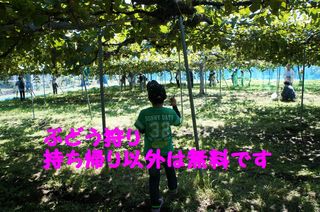 DSC02607-1.jpg