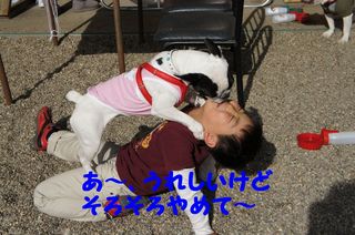 DSC02855-1.jpg
