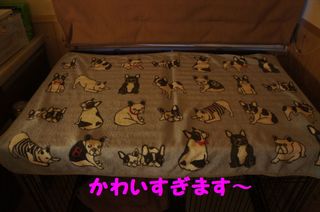 DSC02915-1.jpg