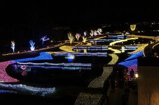 DSC02950-1.jpg