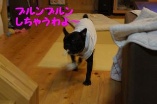 DSC03116-1.jpg