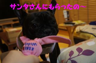 DSC03295-1.jpg